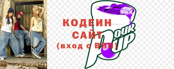индика Михайловка