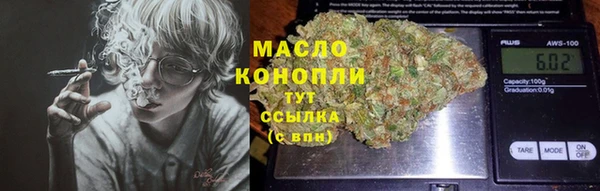 индика Михайловка