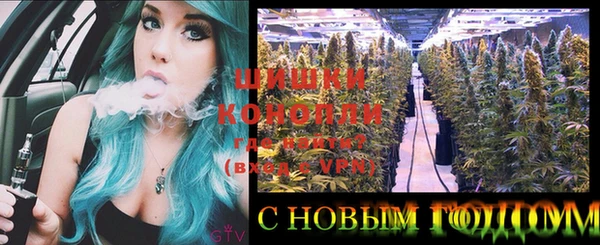 индика Михайловка