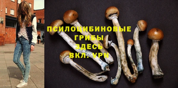 индика Михайловка