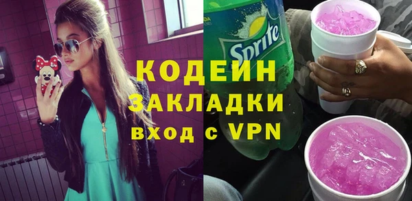 индика Михайловка