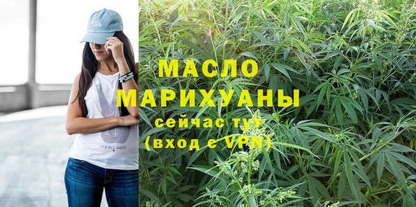 индика Михайловка